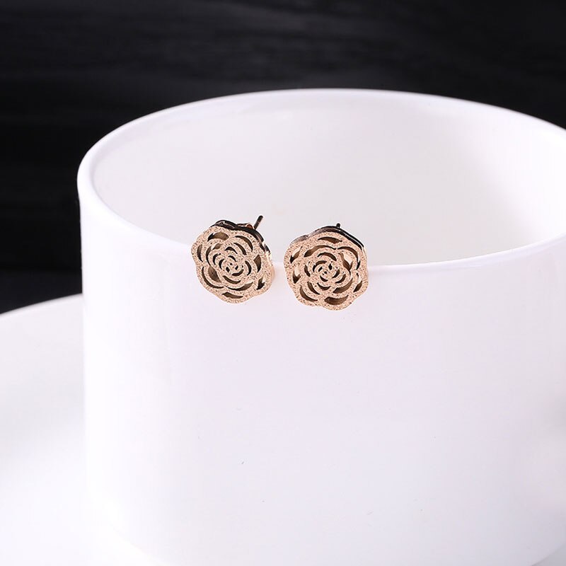 High Quality Titanium Earring
