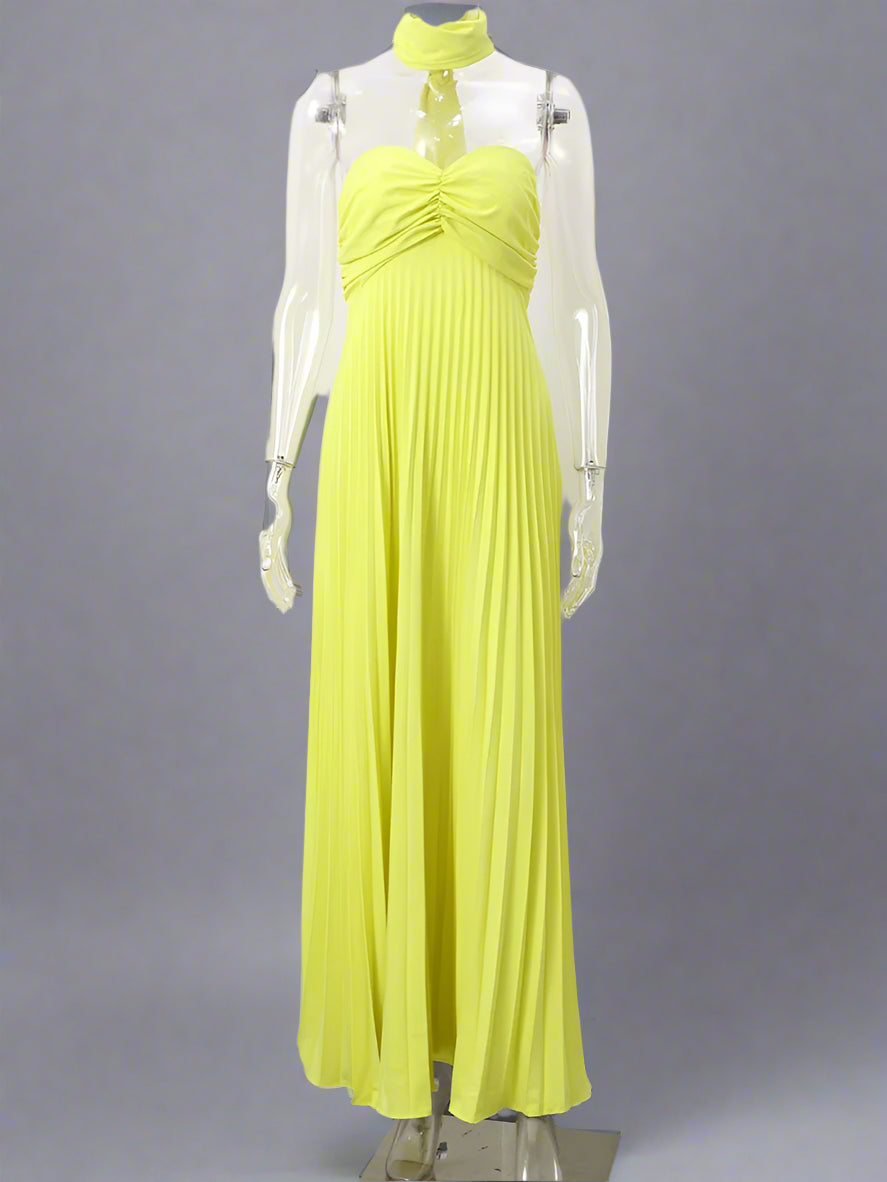 Elegant Strapless Ribbon Long Dress