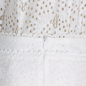 2pcs Hollow Out Lace Shirt & Skirt