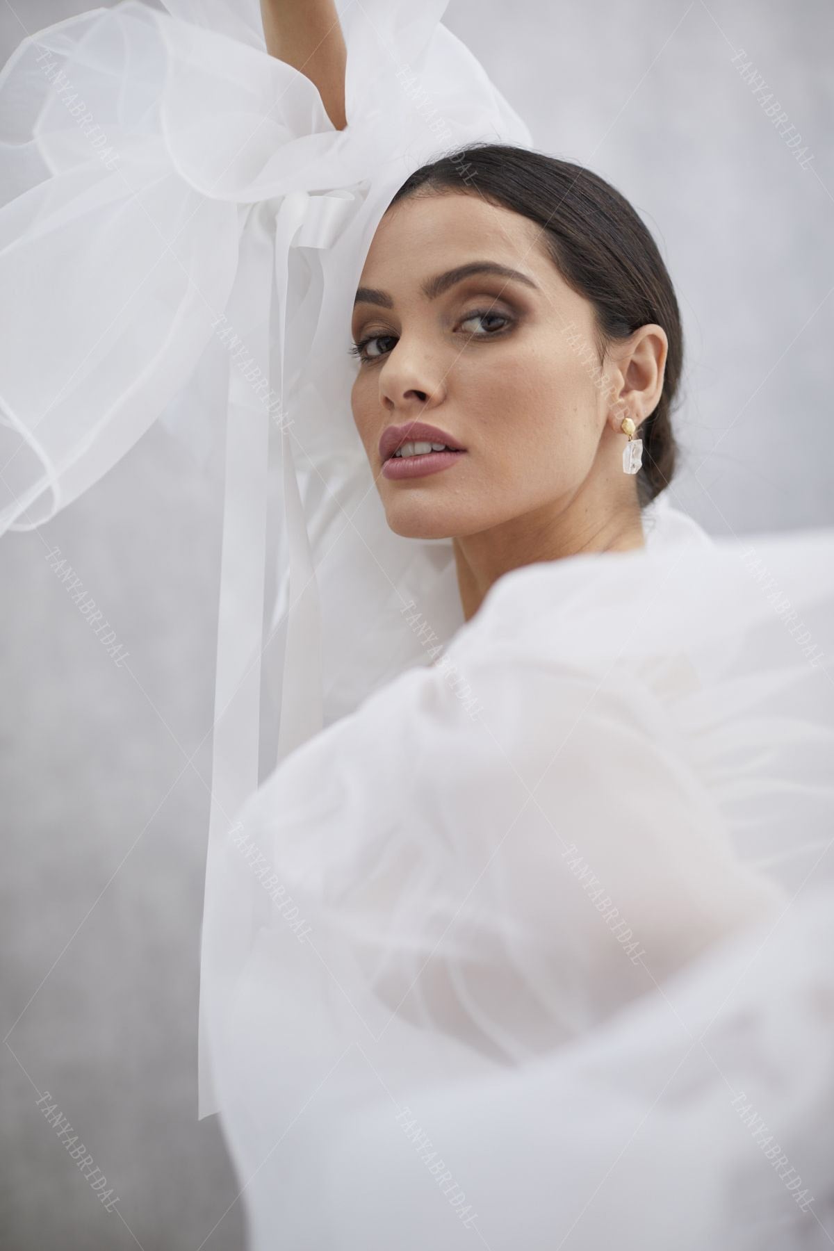 Translucent Organza Puff Sleeve