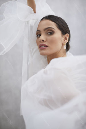 Translucent Organza Puff Sleeve