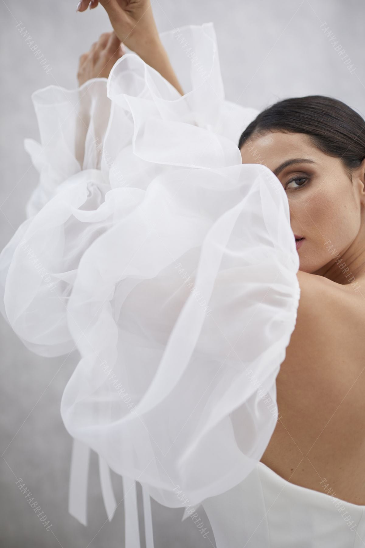 Translucent Organza Puff Sleeve