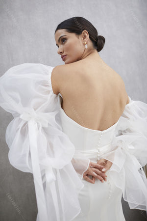 Translucent Organza Puff Sleeve