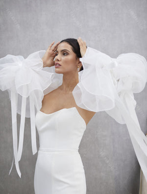 Translucent Organza Puff Sleeve