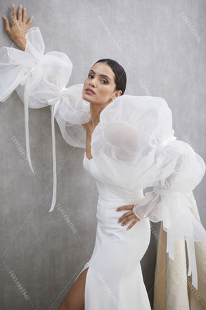 Translucent Organza Puff Sleeve