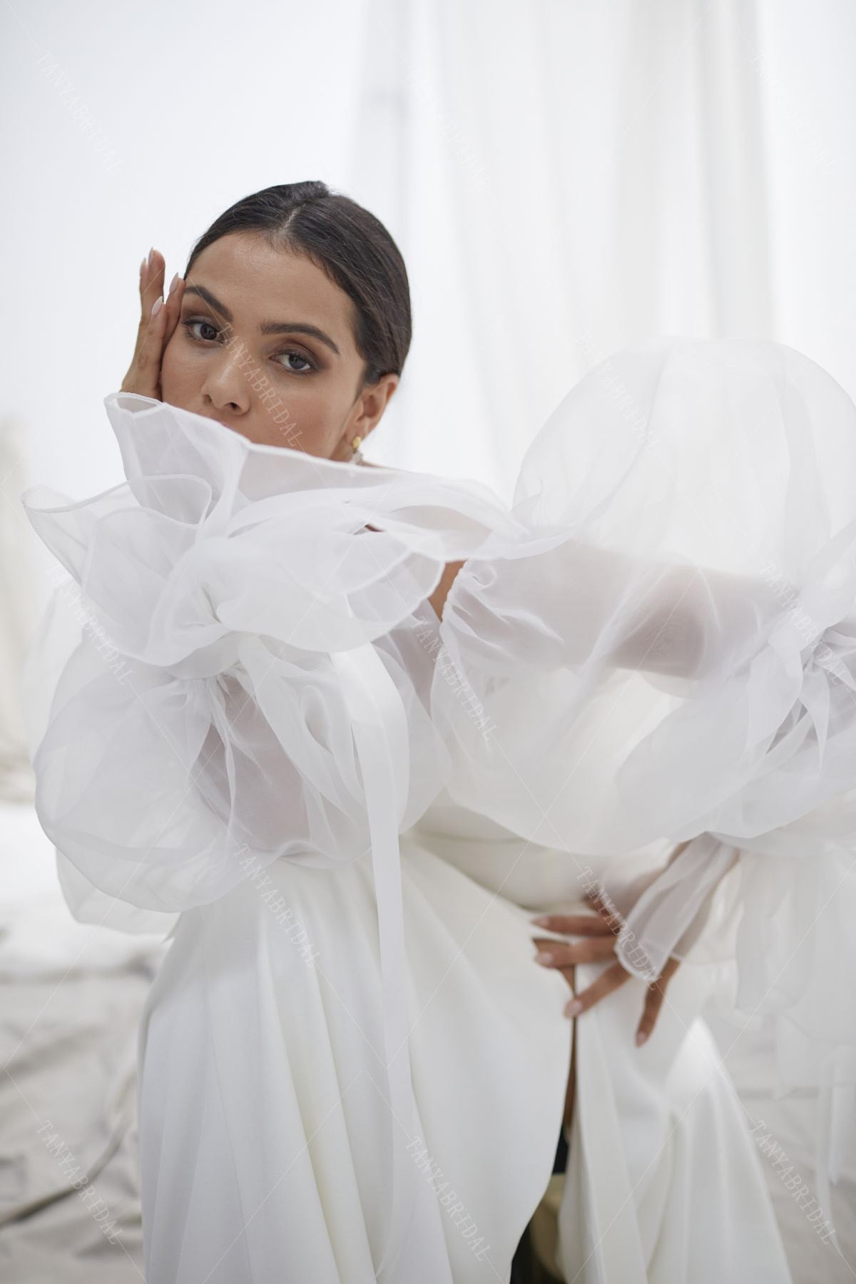 Translucent Organza Puff Sleeve