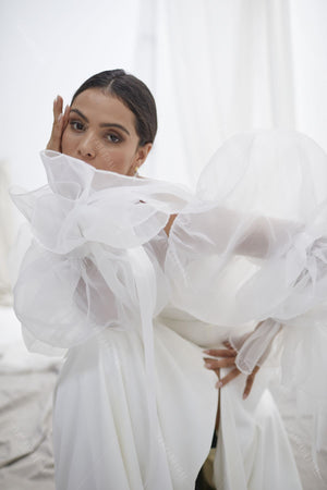 Translucent Organza Puff Sleeve
