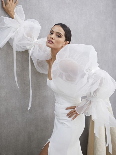 Translucent Organza Puff Sleeve