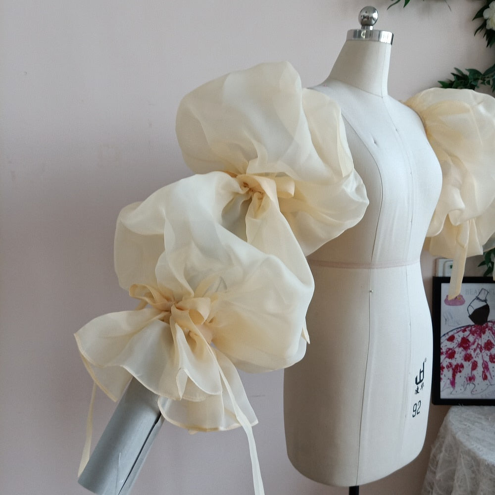 Translucent Organza Puff Sleeve