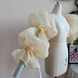 Translucent Organza Puff Sleeve