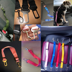 Dog Car Safety Seat Belt